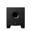 HS8S Powered Subwoofer HS8S Powered Subwoofer